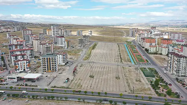 'LAVANTA BAHÇESİ' MEYVELERİNİ VERDİ
