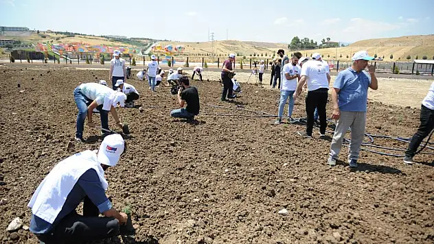 MAHÇİÇEK, BİR İLKE DAHA İMZA ATTI.