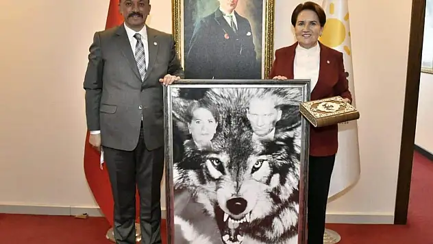 ŞAHİN VE ANADUT DA ADAY OLDU