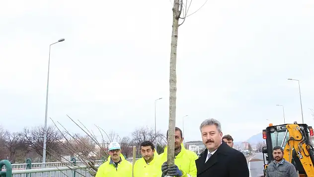 MELİKGAZİ AĞAÇLANDIRMADA 15 YIL ÖNE GEÇTİ