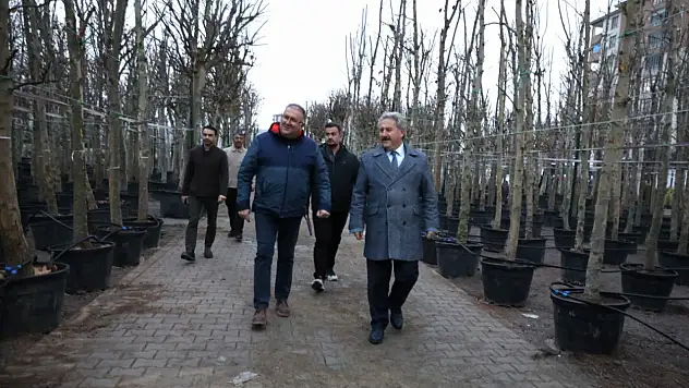 Melikgazi'de ağaçlandırma çalışmaları sürüyor