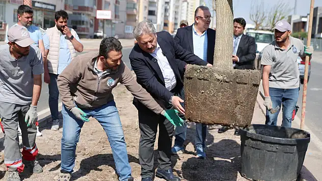 Melikgazi'de Hızlı Ağaçlandırma Çalışması