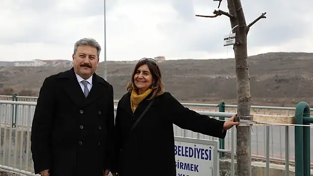 'MELİKGAZİ MUHTARLARINA ÖZEL AĞAÇLANDIRMA ALANI'