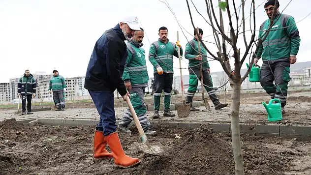 Meyve Bahçeli Park