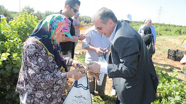 MEYVELER İHTİYAÇ SAHİPLERİNE DAĞITILIYOR