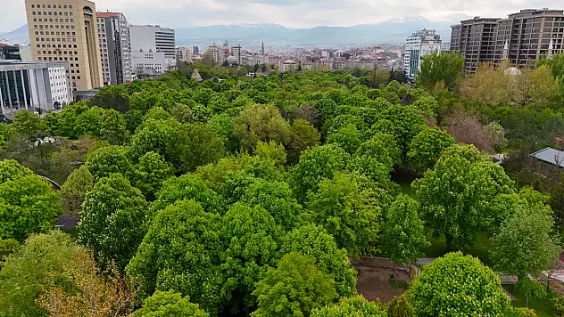 Mimarsinan Parkı'na Modern Aydınlatma Hamlesi
