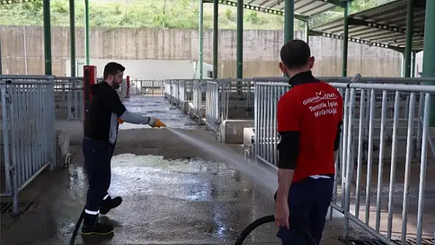 Modern Hayvan Pazarı, Kurban Bayramı'na hazırlanıyor