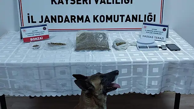 Narkotik köpeği ile uyuşturucu operasyonu