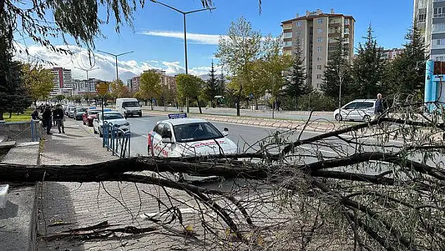 O şehri fırtına vurdu