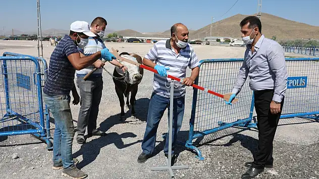 OCASİNAN, KURBAN TATBİKATI YAPTI