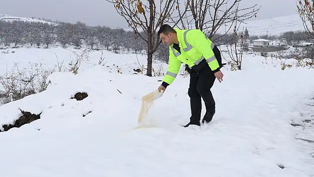 'Onları Koruyalım, Sevelim, Sahip Çıkalım'