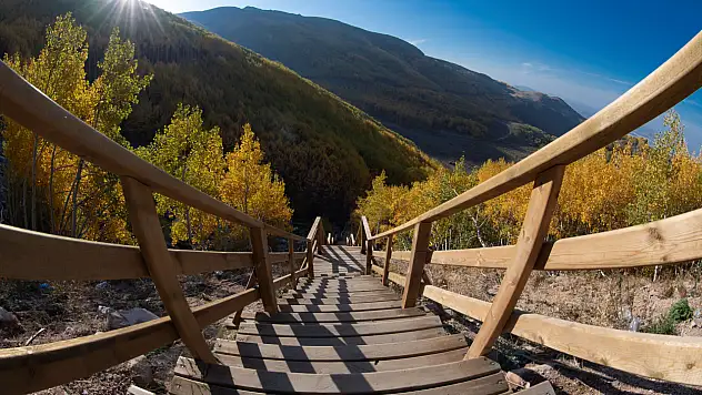 Ortaseki ormanları: Hacılar'ın doğa cenneti