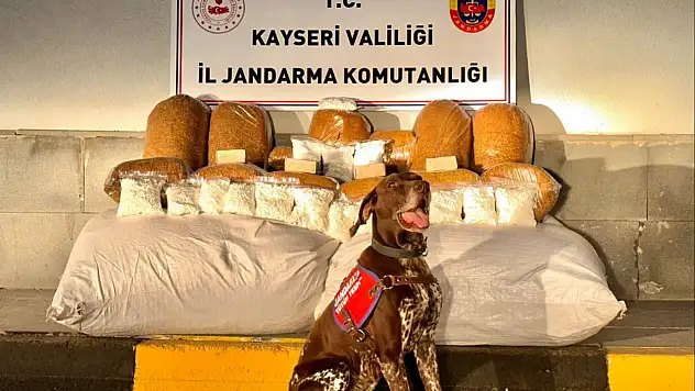 Otobüste 450 kilo kaçak tütün ele geçirildi