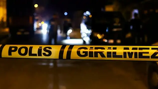Park cinayetinin şüphelisi tutuklandı