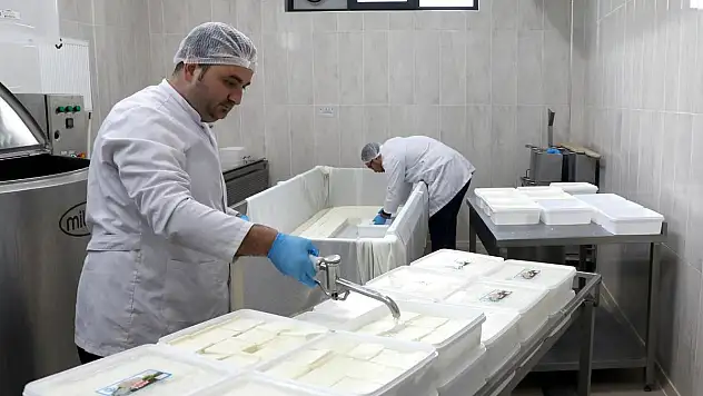 Peyniri Depremzedelere Gönderdiler