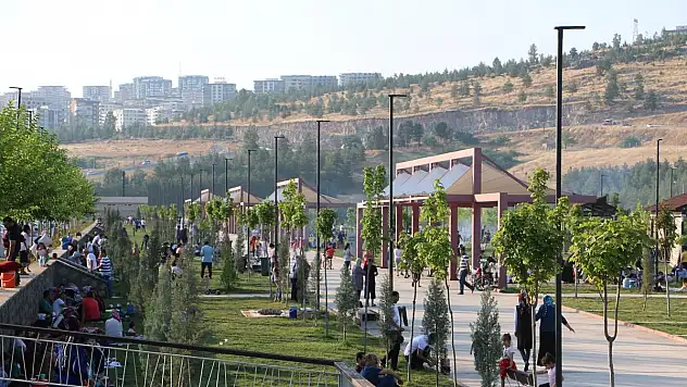 ŞANLIURFALILAR GAP VADİSİ TESİSLERİNE AKIN EDİYOR