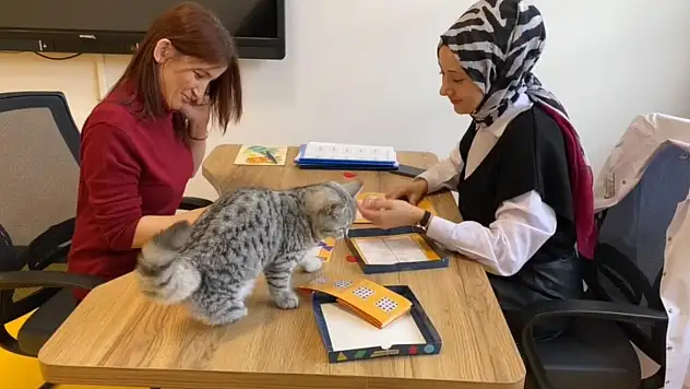 ŞEKER, MERKEZİN İLGİ ODAĞI OLDU