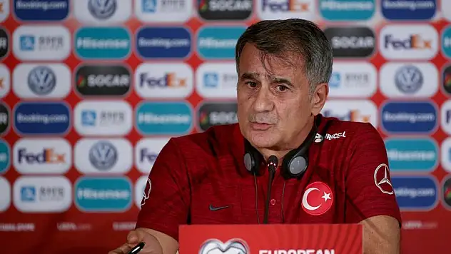 Şenol Güneş: 'Yolumuza devam ediyoruz'