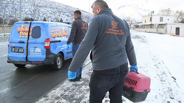 Sevimli dost ambulansı 4 bin 300 cana ulaştı