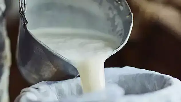 Sıcak havada açık süt uyarısı: Kaynatmadan tüketmek riskli