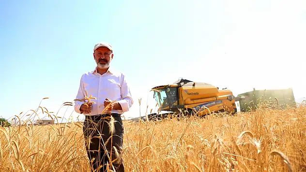 SİYEZ BUĞDAYININ HASADI YAPILDI