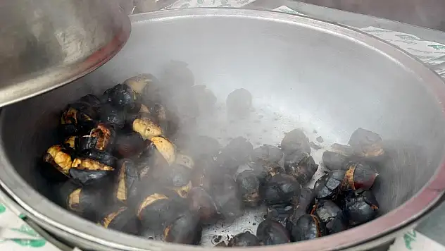 SOĞUK GÜNLERDE, SICAK KESTANE