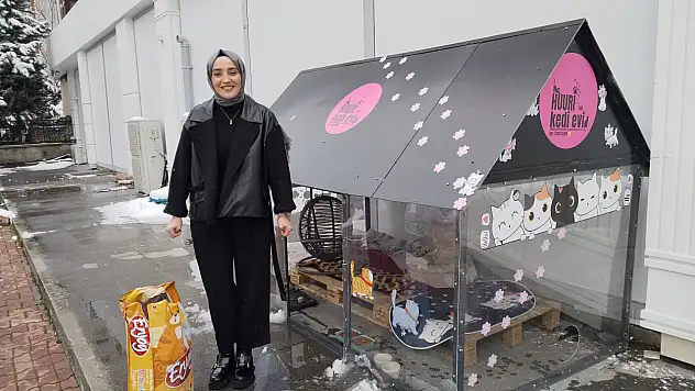 Soğuk kış günlerinde kediler için ısıtmalı yuva yaptılar