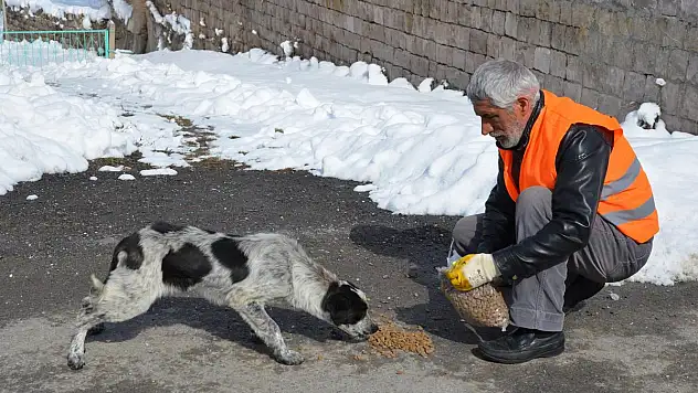 SOKAK HAYVANLARI MELİKGAZİ'DE  SAHİPSİZ KALMIYOR