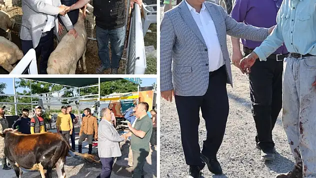 TALAS KURBAN PAZARI