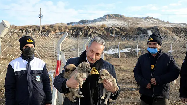 Talas pati evi, sokak hayvanlarına 5,5 yıldır yuva oluyor