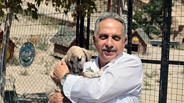 Talas Patievi 500 cana yuva oldu