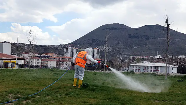 Talas'ta Haşerata Karşı Kapsamlı Mücadele Başladı