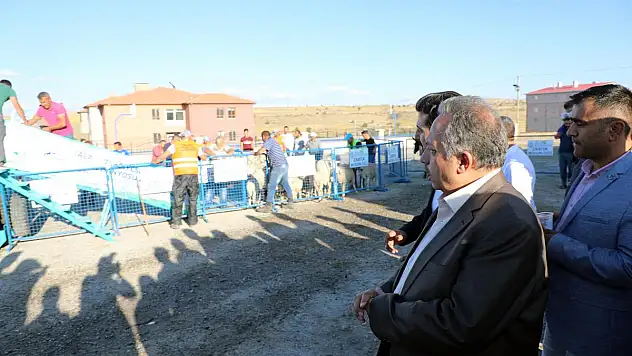 TALAS'TA HAYVANCILIĞA DESTEK