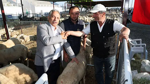 Talas'ta Kurban Satış Yerleri Kura ile Belirlendi