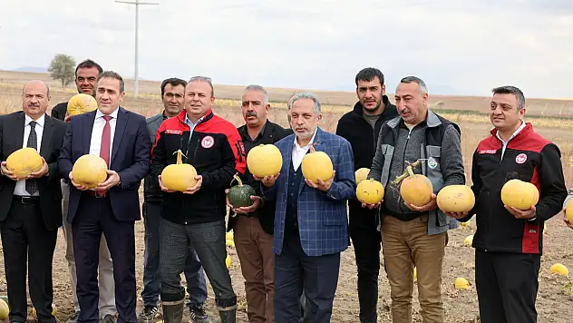 Talas'tan Türkiye zirvesine