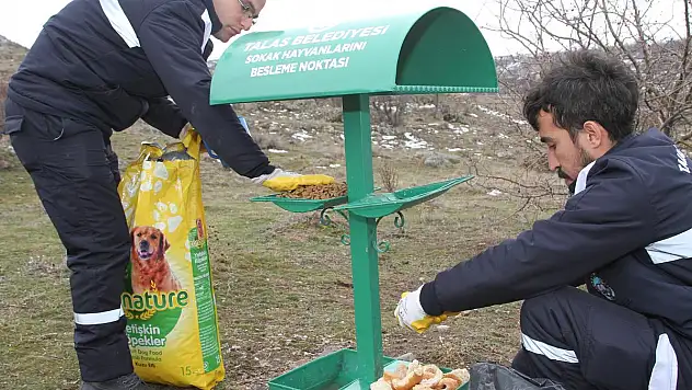 Talas, Yaban Hayvanlarını Unutmadı