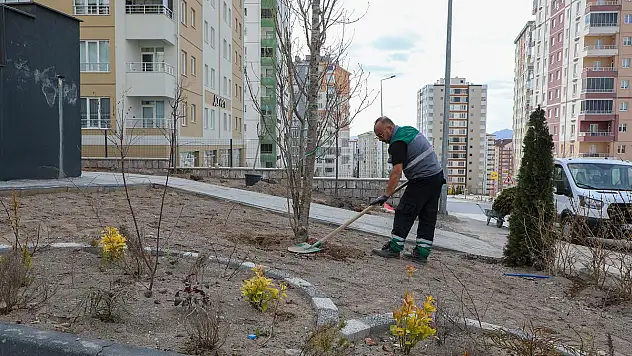 TALAS'TA AĞAÇLANDIRMA SEZONU AÇILDI