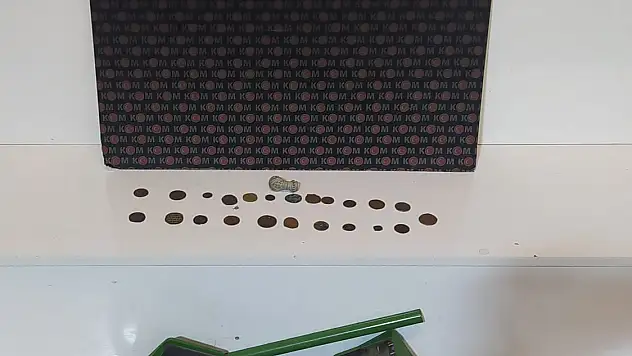 Tarihi eser kaçakçısı yakalandı