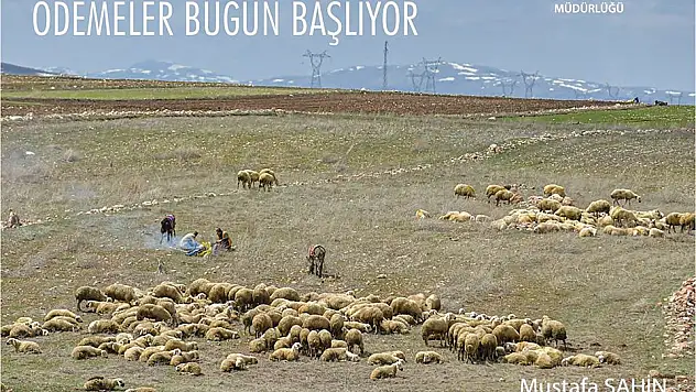Tarımda destek ödemeleri başlıyor