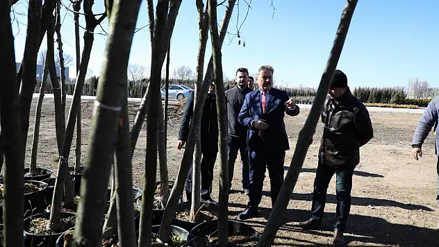 TIR TIR AĞAÇLAR, MELİKGAZİ İÇİN GELİYOR