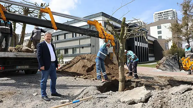 TIR TIR GELDİ, TEK TEK DİKİLDİ