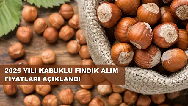 TMO 2025 Fındık Alım Fiyatlarını açıkladı
