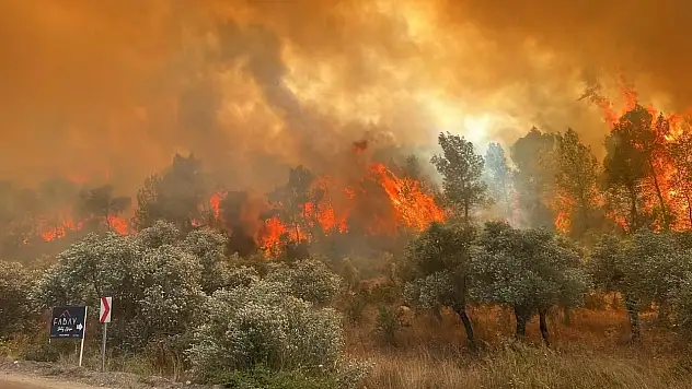 Türkiye'de 65 Orman Yangını çıktı