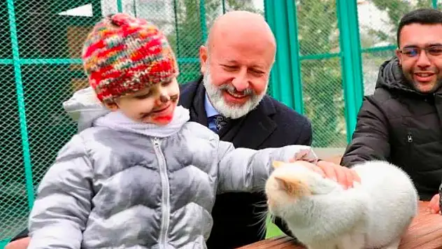 Türkiye'de bir ilk: Küçük Dostlar Ambulansı ile 10 bin 280 can kurtarıldı