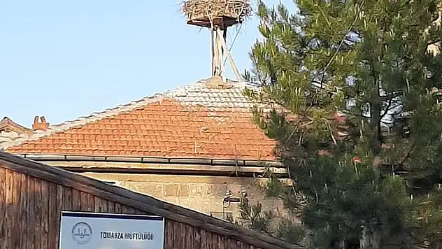 Ücretsiz Ulaşım ve Otopark Uygulaması  Devam Edecek