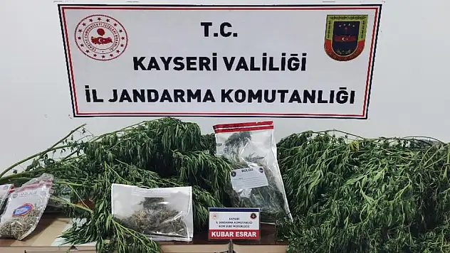 Uyuşturucu operasyonunda esrar ele geçirildi