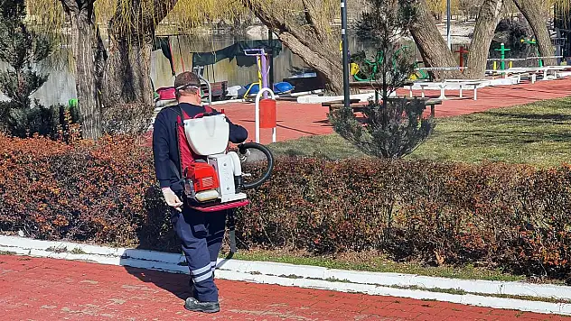 Vektörle mücadele devam ediyor