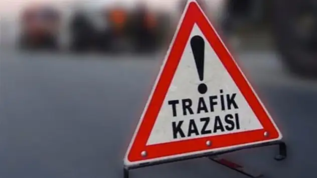Veteriner Hekimin Feci Ölümü