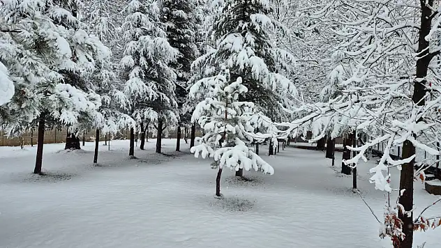 Yahyalı'da kar yağışı etkili oldu