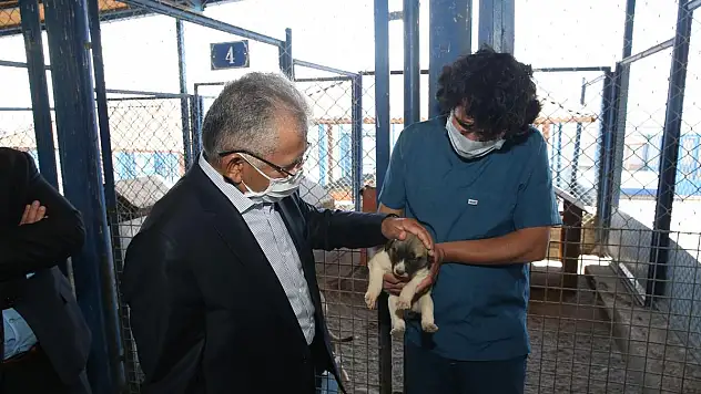 'YARADILIŞA MERHAMET VE ŞEFKAT ANLAYIŞI GÜDÜYORUZ'